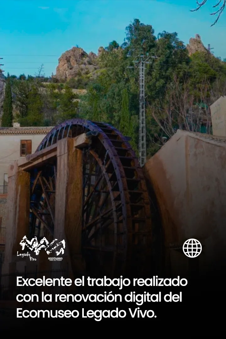 Reseña diseño web Murcia