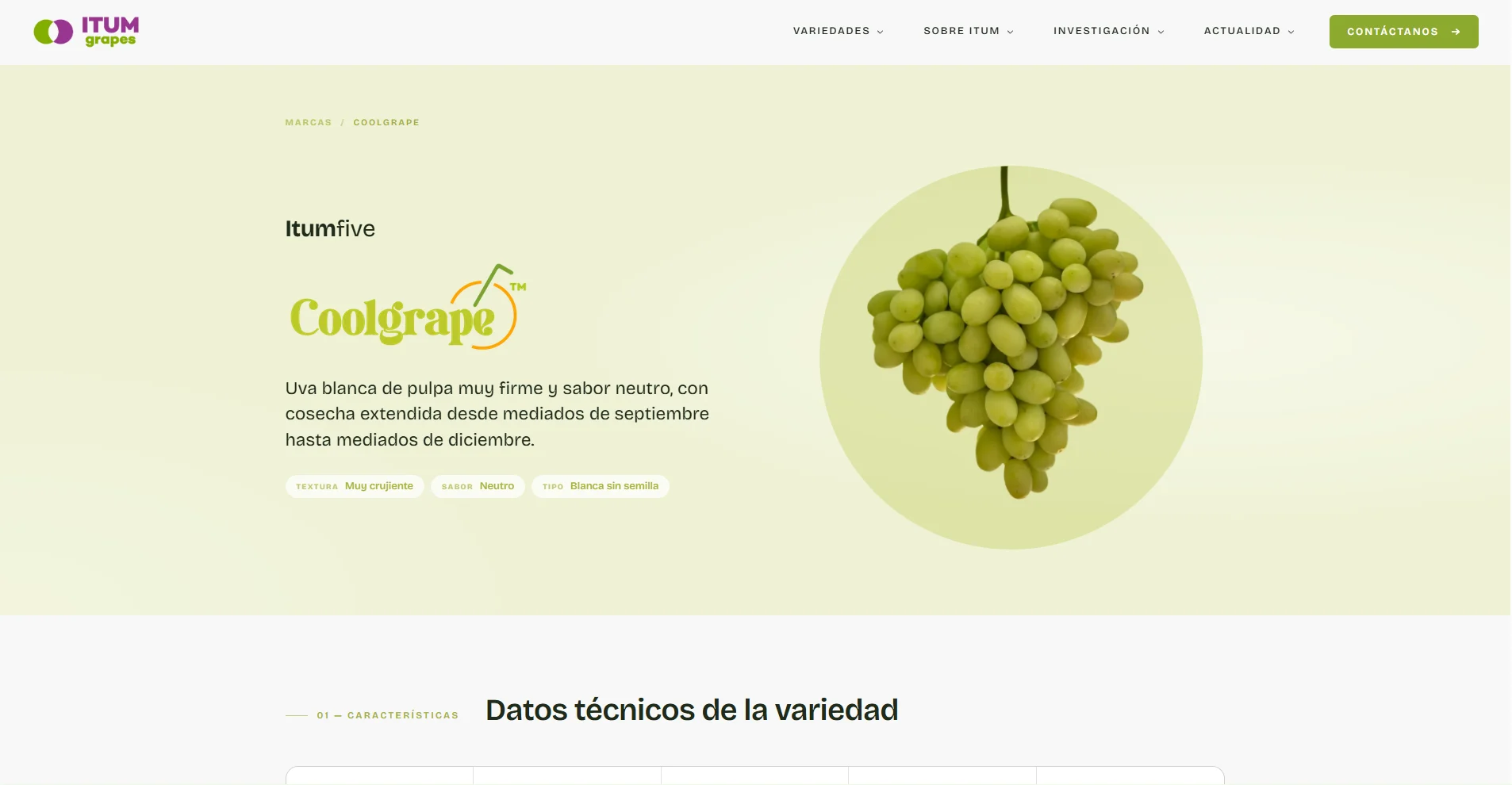 Ficha de la variedad Coolgrape en itumgrapes.com, con su racimo y sus datos de textura, sabor y tipo