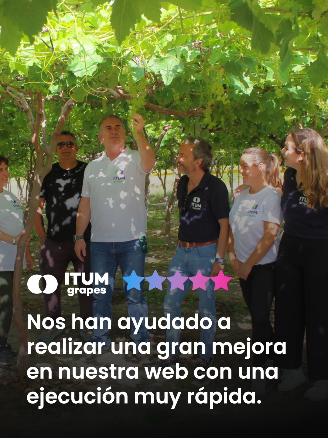 Reseña de Google de ITUM sobre SanCreate