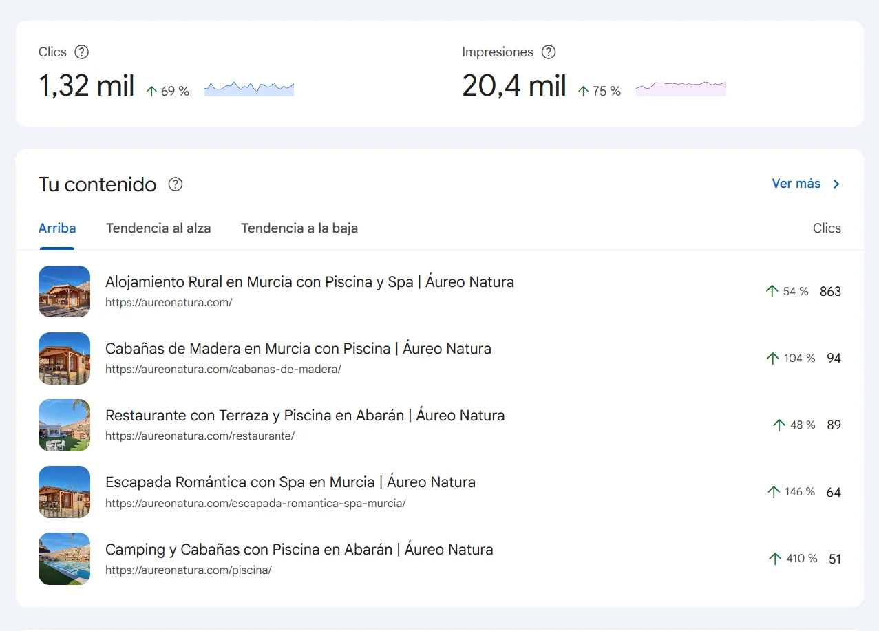 Captura de Google Search Console de Áureo Natura: 1,32 mil clics (+69%) y 20,4 mil impresiones (+75%) con las páginas por línea de negocio