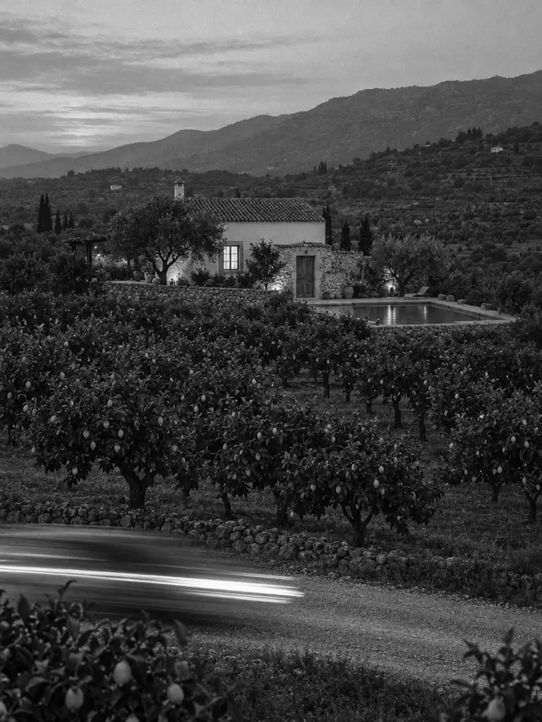 Casa rural entre limoneros al atardecer